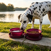Custom Foldable Silicone Double Pet Bowl ,OEM ODM Collapsible Travel Dog Bowl Wholesale