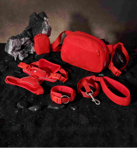 Corduroy Mesh Outdoor Sport Dog Harness Collar Leash Set with Walking Bag — 5-Piece Bundle | 8 Colors, OEM from 20 Pcs