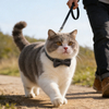 Velvet Cat Bowtie — 36 Heritage Colors, Detachable Velcro Fit, the Cutest Cat Photo Accessory of the Year