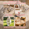 Magnetic Breakaway Cat Collar — Patented Hidden-Magnet Buckle, 39 Styles, S & L Sizes