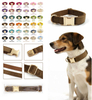 Velvet Dog Collar — Standalone Single Collar | 36 Colors, 5 Sizes XS–XL, OEM from 20 Pcs
