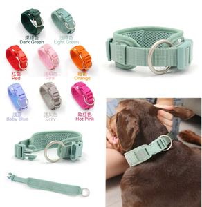  Wide Sport Dog Collar Wholesale