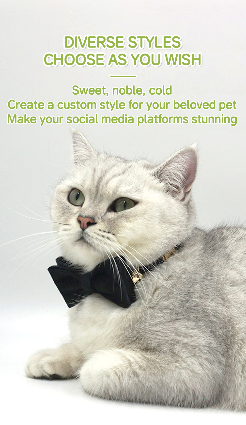Velvet Cat Bowtie Wholesale (4).jpg
