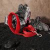 Corduroy Mesh Outdoor Sport Dog Harness Collar Leash Set with Walking Bag — 5-Piece Bundle | 8 Colors, OEM from 20 Pcs