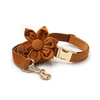 Velvet dog harness orange with adjustable strap and metal D-ring