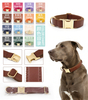 Leather Series Dog Collar 