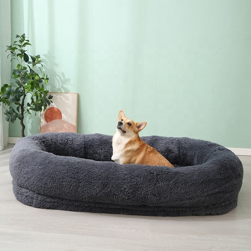 Is 50pcs MOQ Realistic for Custom Pet Products? Real Cost Breakdown for New Brands in 2026