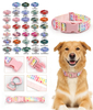 Colored Buckle Printed Dog Collar — Ultra-Lightweight Designer Collar with Color-Matched Plastic Hardware | Heyri Pet OEM/ODM Wholesale