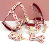 Fruit & Flower Dog Collar Leash & Harness Set — 6-Piece Spring/Summer Bundle | 17 Floral Prints, Patent Design, OEM from 20 Pcs