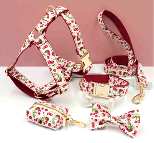 Fruit & Flower Dog Collar Leash & Harness Set — 6-Piece Spring/Summer Bundle | 17 Floral Prints, Patent Design, OEM from 20 Pcs