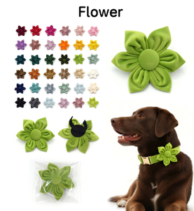 Velvet Flower Dog Bowtie — Handmade 5-Petal Flower Silhouette, 36 Plush Velvet Colors, Wholesale from Heyri Pet