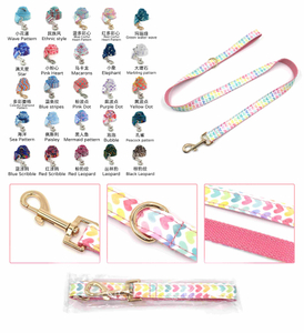 Wholesale Print Series Dog Leash — 25 Year-Round Statement Patterns, 360° Swivel Hook, Traffic-Handle D-Ring, OEM/ODM Manufacturer