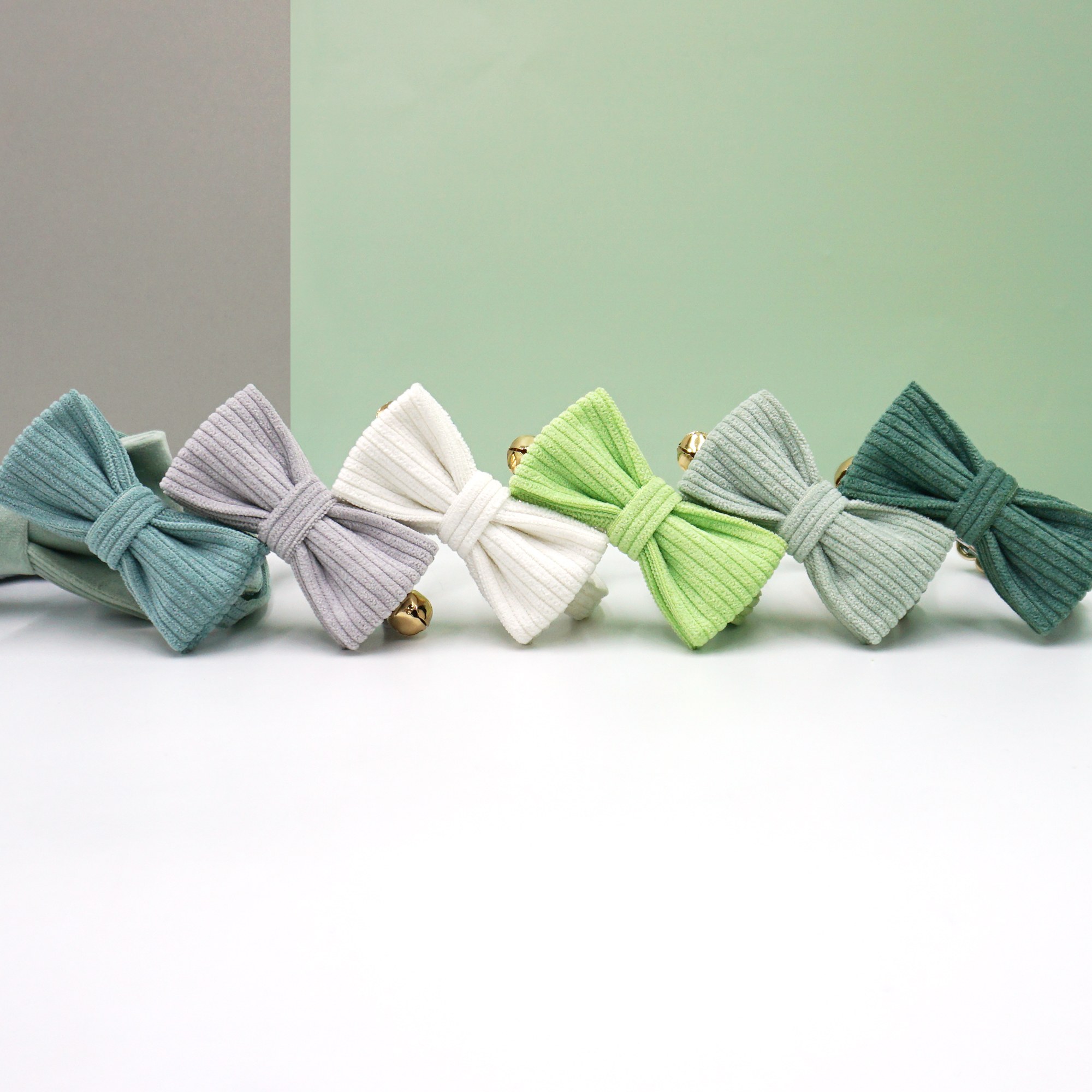 How to Start a Pet Accessories Brand — From Idea to First Order