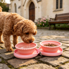 Custom Foldable Silicone Double Pet Bowl ,OEM ODM Collapsible Travel Dog Bowl Wholesale