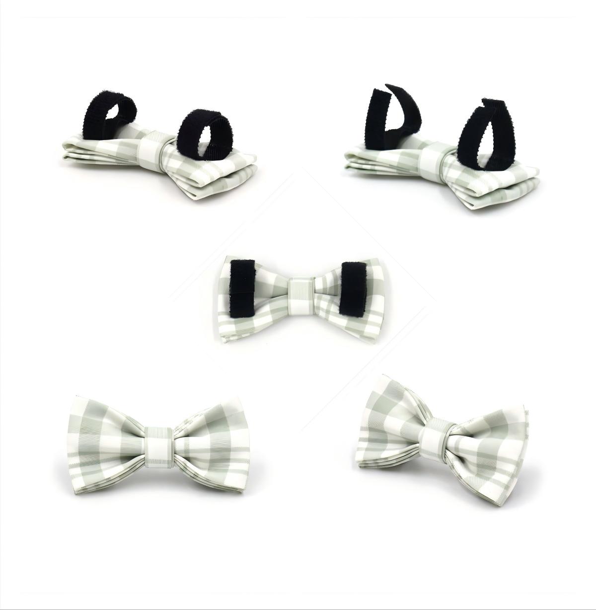 Plaid Cat Bowtie 4.jpg