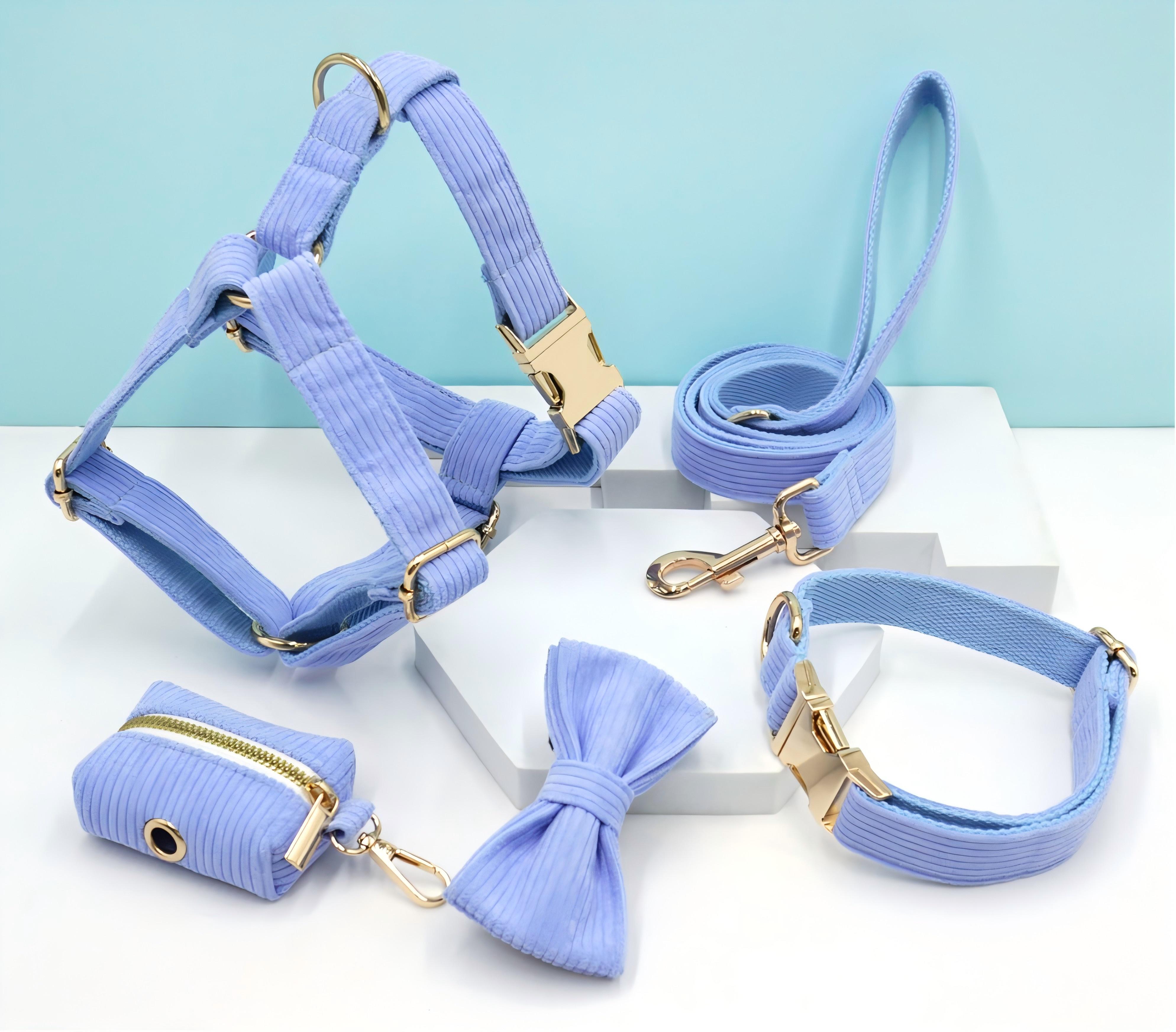 Blue corduroy dog collar leash and harness 6-piece set with gold zinc alloy quick-release buckle for autumn winter