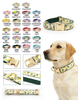 Fruit & Flower Dog Collar — Standalone Single Collar | Seasonal Limited Patterns, 5 Sizes XS–XL, OEM from 20 Pcs