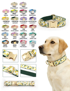 Fruit & Flower Dog Collar — Standalone Single Collar | Seasonal Limited Patterns, 5 Sizes XS–XL, OEM from 20 Pcs
