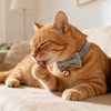 Velvet Cat Bowtie — 36 Heritage Colors, Detachable Velcro Fit, the Cutest Cat Photo Accessory of the Year