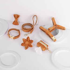 Orange velvet dog collar leash and harness 6-piece set with gold zinc alloy quick-release buckle